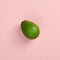 Avocado on color background