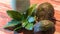 Avocado cream on the wooden surface with fresh fruits and leaves