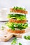 Avocado, cucumber and feta cheese sandwich decorated with micro-greens and multi-grain bread on a simple wooden stand for a