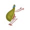 Avocado Doing Squats, Funny Exotic Fruit Athlete Cartoon Character Doing Sports Vector Illustration