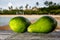 Avocado on exotic beach background