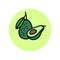 Avocado flat illustration. Avocado icon. Avocado one cut in half with bone and a whole avocado.