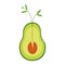 Avocado flat. Sprouting plant. Healthy food. Nature. Life in the plant