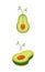 Avocado flat. Sprouting plant. Healthy food. Nature. Life in the plant. Isometry