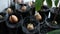 Avocado in a flower pots. Groving young avocado garden on the window