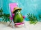 Avocado in hat  relaxes on  lounge chair on  beach. Summer tropical minimal humor poster