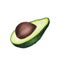 Avocado isolated on white background. Keto diet hand drawing. Organic food. Healthy eating concept, paleo products