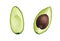 Avocado isolated on white background. Keto diet hand drawing. Organic food. Healthy eating concept, paleo products