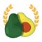 avocado nutrition fresh fruit icon vector ilustrate