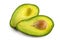 Avocado-oily nutritious fruit