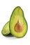 Avocado-oily nutritious fruit