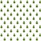 Avocado pattern background / green