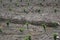 Avocado plantation under construction in the mountains near Malaga