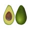 Avocado ripe fruit. Persea americana raw exotic pod whole and halved with seed. Fatty flesh