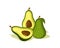 Avocado ripe healthy fresh fruit. Summer fruits vector design