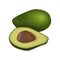 Avocado ripe raw fruit. Persea americana whole and halved. seed. Juicy flesh, isolated