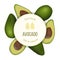 Avocado Round Circle badge with copy space on stripe. ripe raw fruit. Persea americana exotic whole and halved