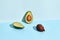 Avocado and Salacca fruits on blue background