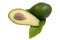 Avocado with a sliced green avocado half isolated