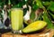 Avocado smoothie with avocado tree on the background