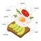 Avocado toast ingredients. Popular breakfast. Sandwich with fried egg.