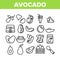 Avocado Vegetable Collection Icons Set Vector