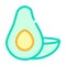Avocado vegetable color icon vector symbol illustration
