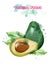 Avocado watercolor Vector. Delicious colorful designs isolated