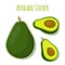 Avocado whole, slice sticker. Tropical summer fruit label. Vector illustration