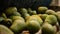Avocados hass fruit rolling in industrial linepack line