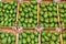 Avocados on street market stall