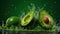 Avocados and water Splashing on green backgroun