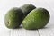 Avocados on a white background