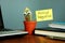 Avoid negative. Smiling cactus on the desk. Positive thinking