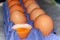 Aw uncooked orange yolk in shell near brown chicken eggs in rows in purple tray