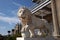 Awake lions on the southern terrace of the Vorontsov Palace