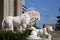 Awake lions on the southern terrace of the Vorontsov Palace