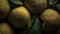 Award-winning Breadfruit Seamless Background Photograph