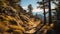 Award-winning Hinterland Hiking Trail: A Poetic Adventure In Vivid Colors
