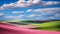 Award-winning Landscape Photo: Large Pink Squishy Fields With Blue Clouds