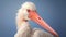 Award-winning Manapunk Bird With Distinctive Pink Beak