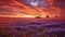 Award-winning Photo Of Australian Lavender Field At Sunset