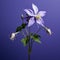 Award-winning Purple Flower Sculpture With Graceful Balance