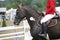 Award winning racehorse during celebration on a show jumping eve