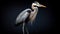 Award Winning Wildlife Photography: Detailed Heron Portrait In Ultra Wide Shot