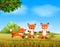 An awasome view with the fox run with their friend in the safari