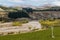 Awatere river vineyards, New Zealand