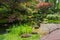 Awe blossom of  yellow rhododendrons and other plants  in  Japanese garden  inthe Hague