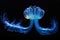 awe-inspiring deep sea siphonophore glowing blue