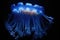awe-inspiring deep sea siphonophore glowing blue